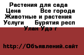 Растения для сада › Цена ­ 200 - Все города Животные и растения » Услуги   . Бурятия респ.,Улан-Удэ г.